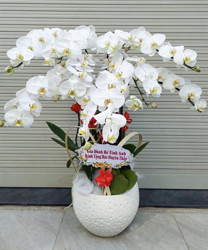 Màu sắc