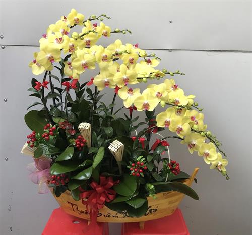 Lan ghép thuyền