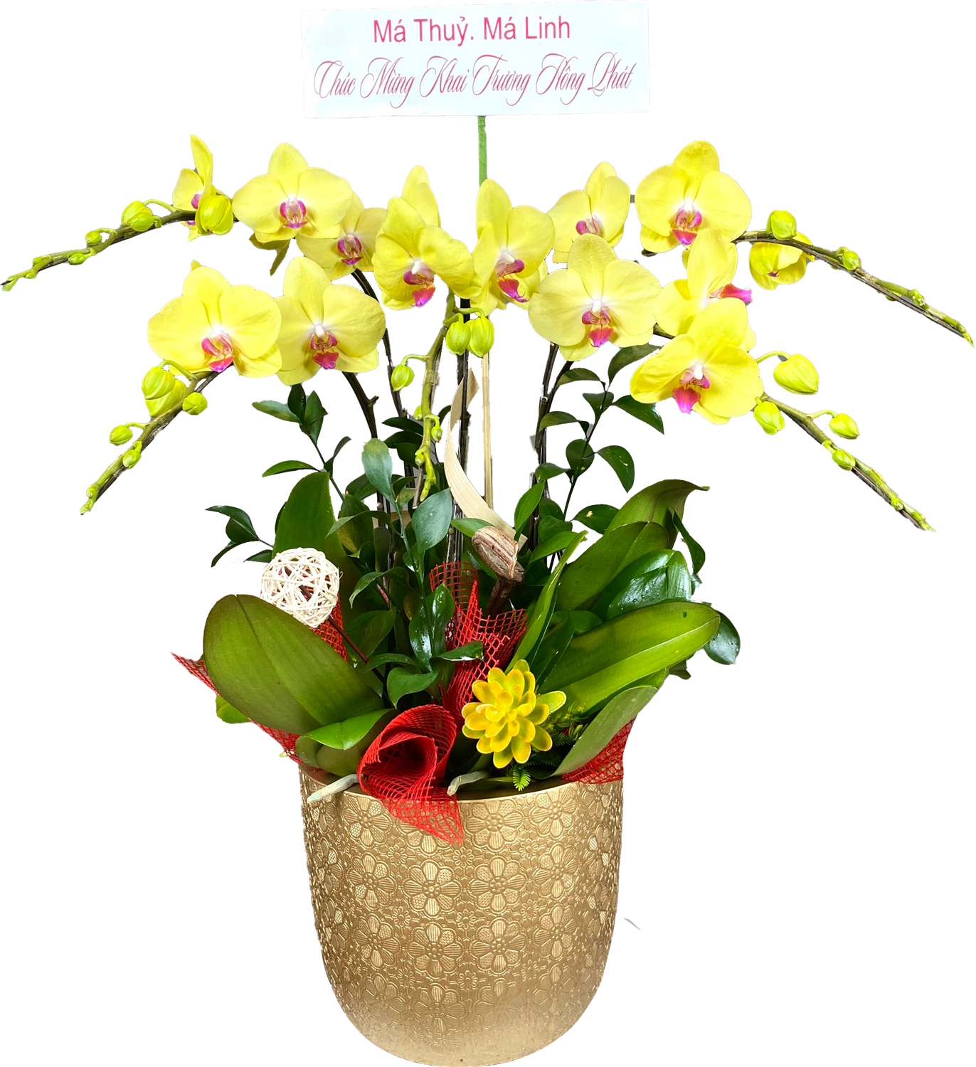 Hoa để bàn 00002