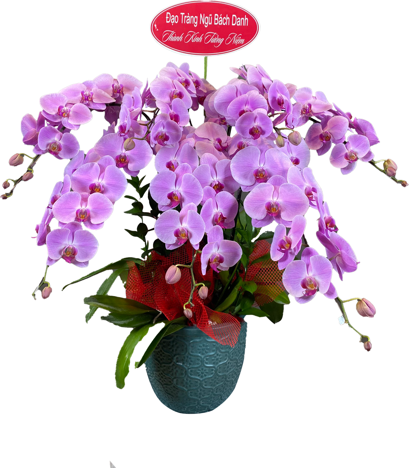 Hoa để bàn 00004